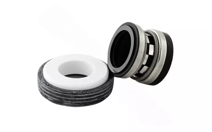 Polaris Ceramic/Spring Seal P84